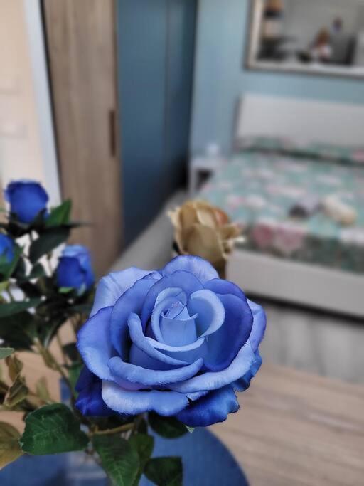 Apartament Casa Fiori Blu - Figline Valdarno Zewnętrze zdjęcie